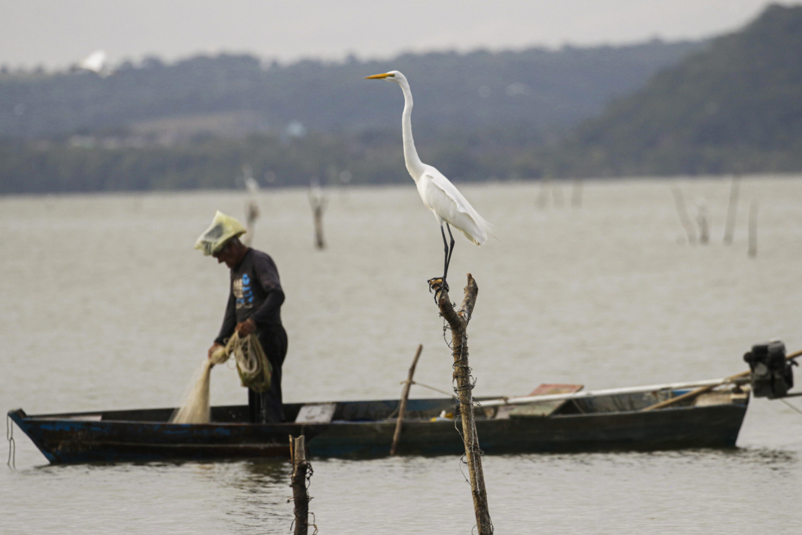 Un pescador en una embarcación y una ave blanca parada en un poste