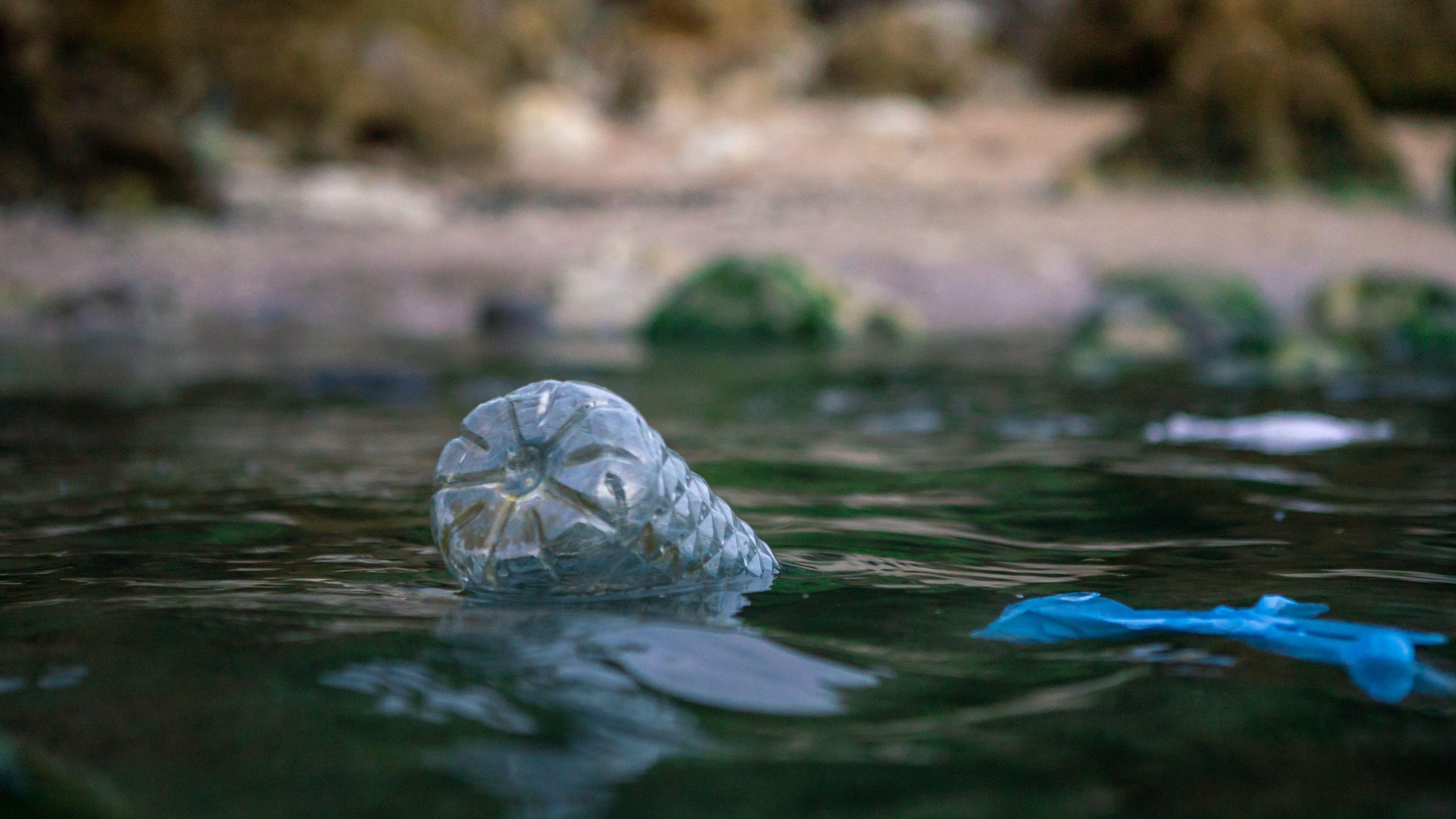 Botella plástica y guantes de plástico flotando en el mar